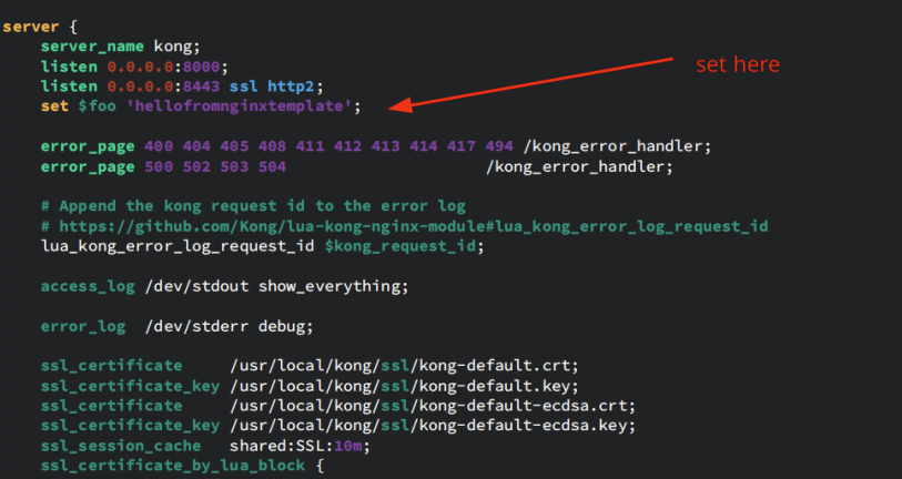 How to add any variable to Kong access logs